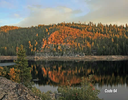 Autumn Reflection